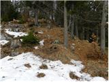 Brezovica - Partisan cottage on Vodiška planina